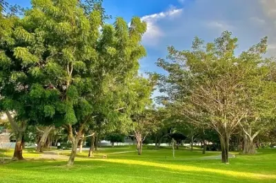 Terreno en venta en Mérida - foto 3