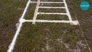 Terreno en venta en Chicxulub Pueblo - foto 5