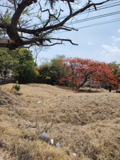 Terreno en venta en Yautepec - foto 5