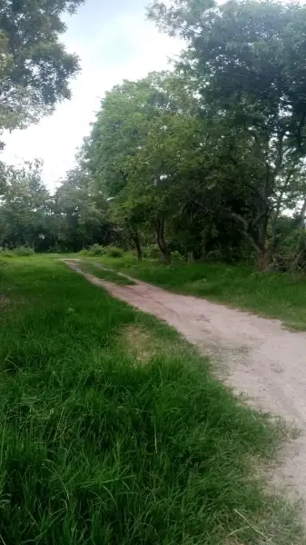 Terreno en venta en Yautepec - foto 4