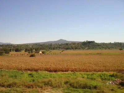 Terreno en venta en Tototlán - foto 4
