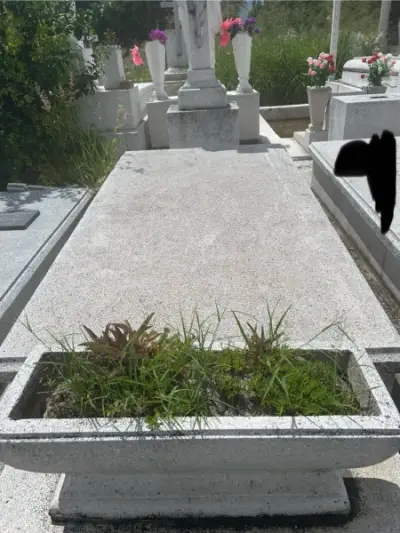 Otros inmuebles en venta en Monterrey - foto 4