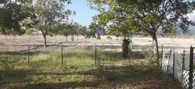 Rancho en venta en Bustamante - foto 3