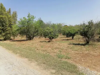 Terreno en venta en Allende - foto 4