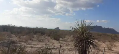 Rancho en venta en Bustamante - foto 2