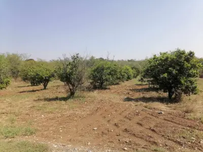 Terreno en venta en Allende - foto 5