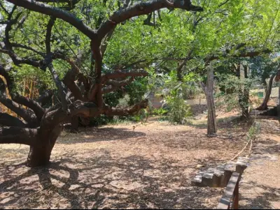 TERRENO EN VENTA EN CUERNAVACA, AVILA CAMACHO 
