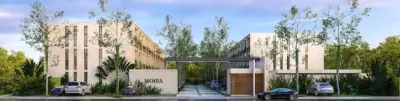 Terreno en venta en Mérida - foto 3