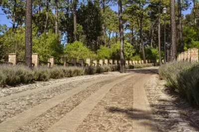 Terreno en venta en Atemajac de Brizuela - foto 3