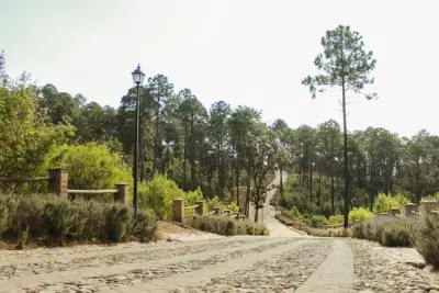 Terreno en venta en Atemajac de Brizuela - foto 4
