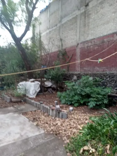 Terreno en venta en Tlalpan - foto 2