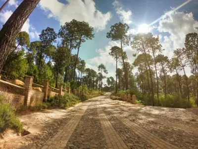 Terreno en venta en Atemajac de Brizuela - foto 2