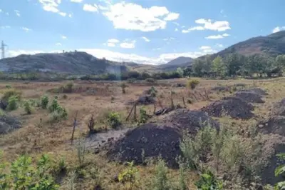 Terreno en venta en Tlajomulco de Zúñiga - foto 2