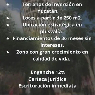 Terreno en venta en Tixkokob - foto 2
