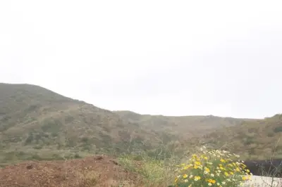 Terreno en Venta de 119HA en Bajamar, Ensenada, BC.