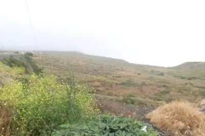Terreno en venta en Ensenada - foto 2