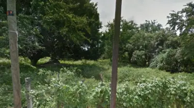 Terreno en venta en Miacatlán - foto 3