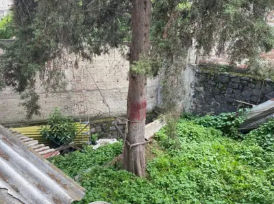 Terreno en venta en Álvaro Obregón - foto 3