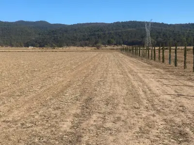 Terreno en venta en Singuilucan - foto 4