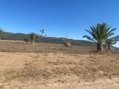 Terreno en venta en Singuilucan - foto 5