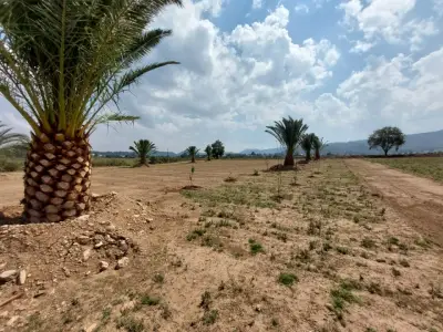 Terreno en venta en Singuilucan - foto 5