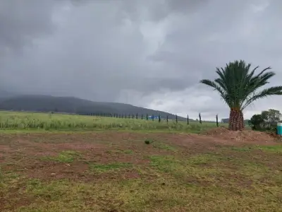 Terreno en venta en Singuilucan - foto 4