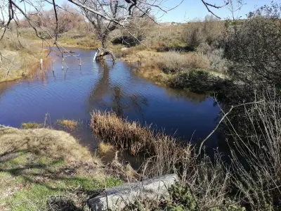 5 hecatareas de terreno en venta