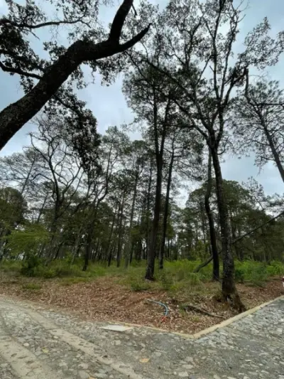 Terreno en venta en Tapalpa - foto 2