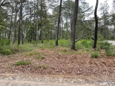 Terreno en venta en Tapalpa - foto 4