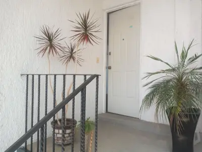 Departamento en venta en Tlalpan - foto 3