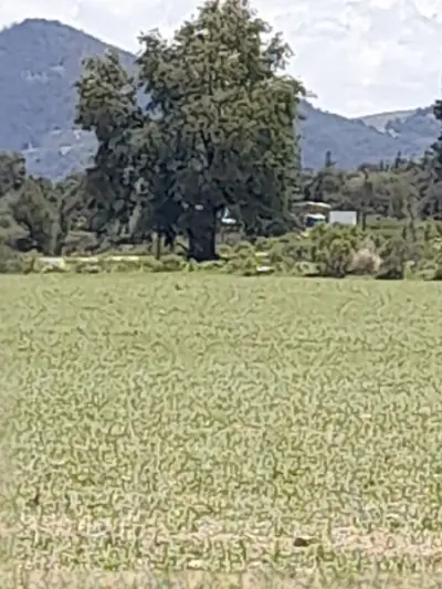 Terreno en venta en Singuilucan - foto 5