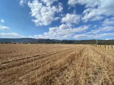 Terreno en venta en Singuilucan - foto 2