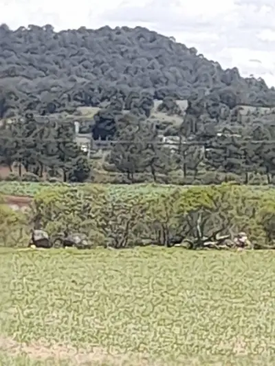 Terreno en venta en Singuilucan - foto 4