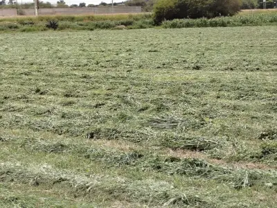 Terreno en venta en Tequisquiapan - foto 2