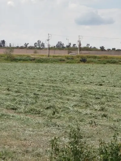 Terreno en venta en Tequisquiapan - foto 5