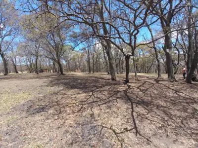Terreno en venta en Villa del Carbón - foto 3