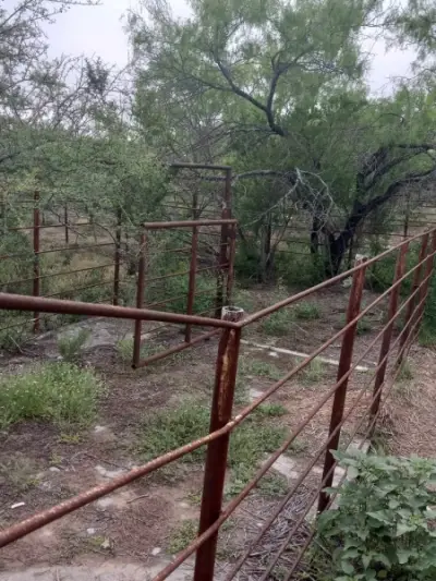 Rancho en venta en Sabinas Hidalgo - foto 5