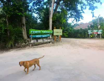 Terreno en venta en Puerto Morelos - foto 4