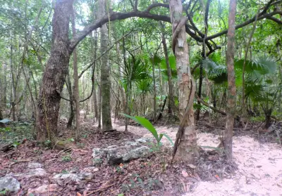 Terreno en venta en Puerto Morelos - foto 2