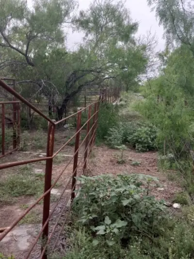 Rancho en venta en Sabinas Hidalgo - foto 4