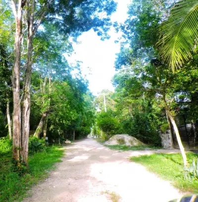 Terreno en venta en Puerto Morelos - foto 5