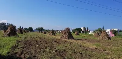 Terreno en venta en Zapopan - foto 5