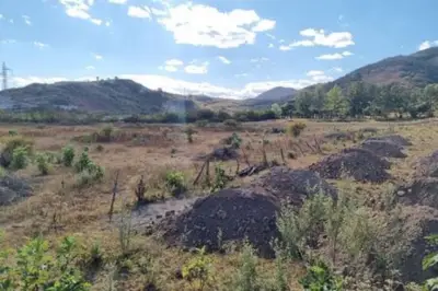Terreno en venta en Tlajomulco de Zúñiga - foto 5