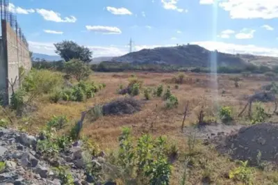 Terreno en venta en Tlajomulco de Zúñiga - foto 4