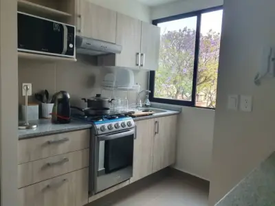 Departamento en venta en Cuauhtémoc - foto 4