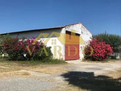 Rancho en venta en Linares - foto 5