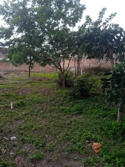Terreno en venta en Guadalajara - foto 4