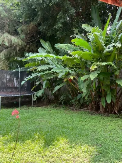Departamento en renta en Tepoztlán - foto 2