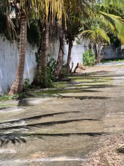 Terreno en venta en Mérida - foto 3