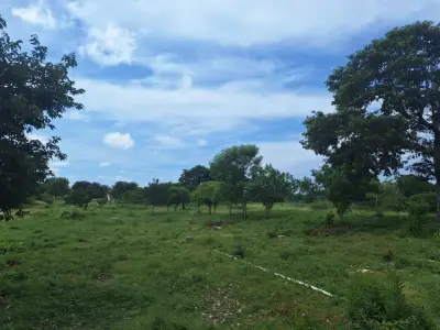 Terreno en venta en Mérida - foto 5